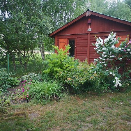 Domki Domek Na Jeziorem Wilczynskim Budzislawskim , Las, Osobno Ogrodzony 2-6 Osob- Klimatyzacja, Ogrzewanie, 62-550 Zygmuntowo Gm Wilczyn Esterno foto