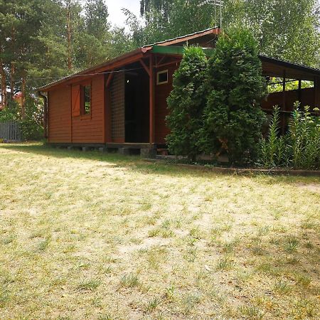 Domki Domek Na Jeziorem Wilczynskim Budzislawskim , Las, Osobno Ogrodzony 2-6 Osob- Klimatyzacja, Ogrzewanie, 62-550 Zygmuntowo Gm Wilczyn Esterno foto
