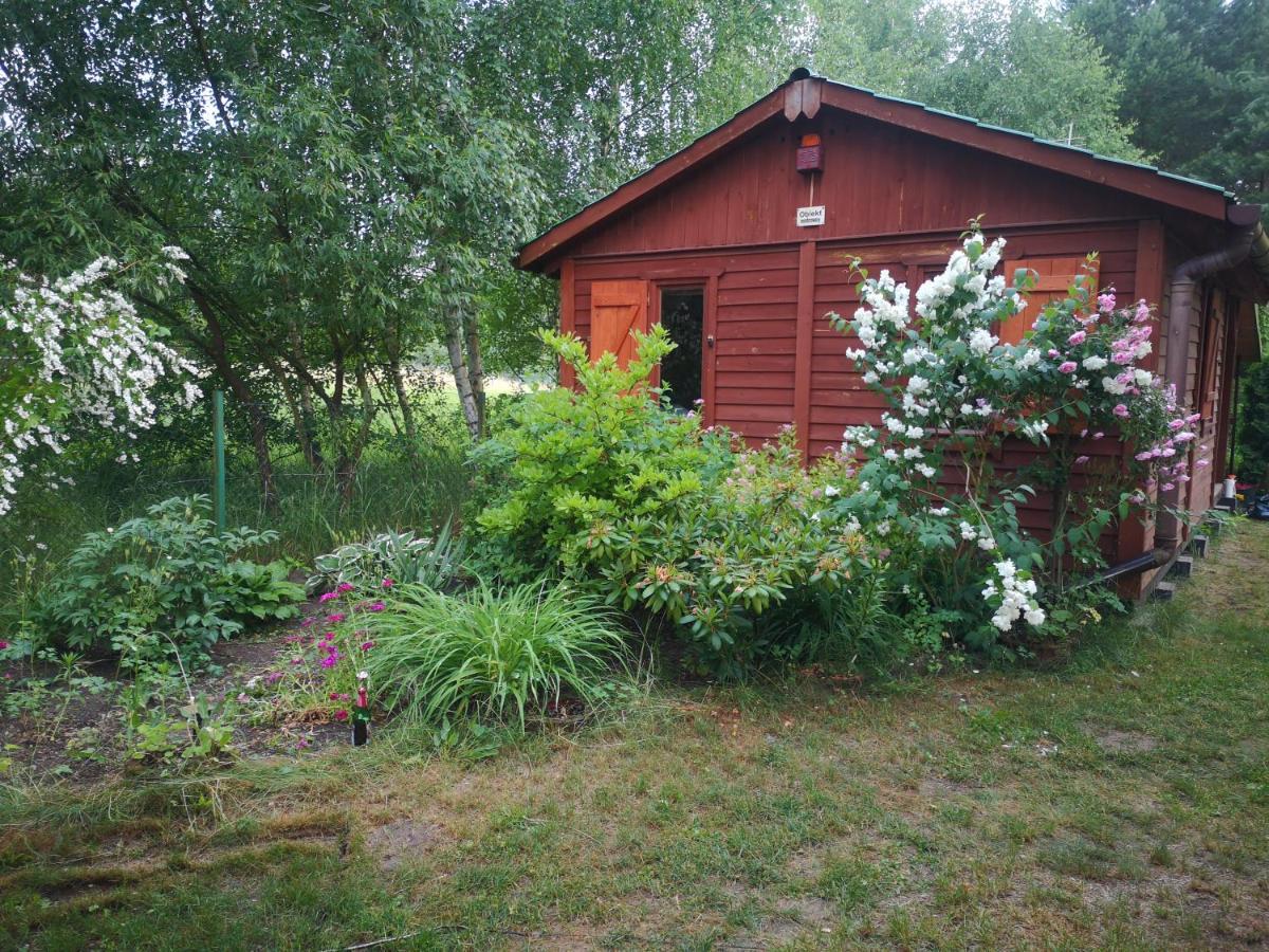 Domki Domek Na Jeziorem Wilczynskim Budzislawskim , Las, Osobno Ogrodzony 2-6 Osob- Klimatyzacja, Ogrzewanie, 62-550 Zygmuntowo Gm Wilczyn Esterno foto