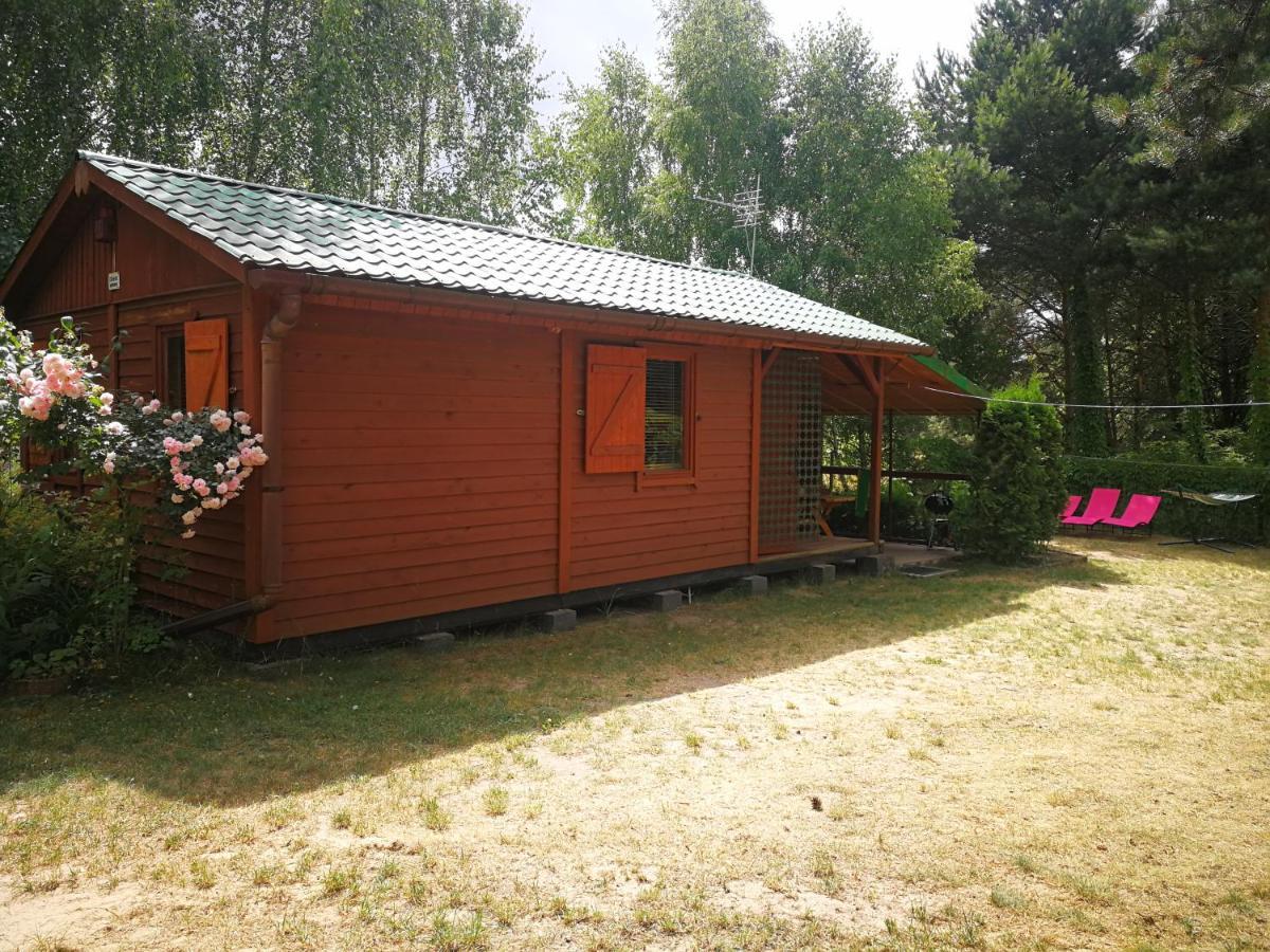 Domki Domek Na Jeziorem Wilczynskim Budzislawskim , Las, Osobno Ogrodzony 2-6 Osob- Klimatyzacja, Ogrzewanie, 62-550 Zygmuntowo Gm Wilczyn Esterno foto