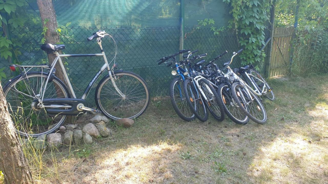 Domki Domek Na Jeziorem Wilczynskim Budzislawskim , Las, Osobno Ogrodzony 2-6 Osob- Klimatyzacja, Ogrzewanie, 62-550 Zygmuntowo Gm Wilczyn Esterno foto
