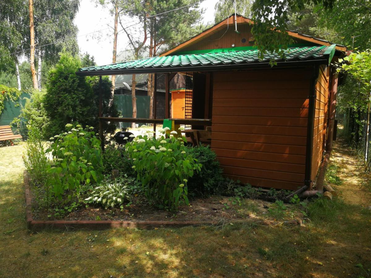 Domki Domek Na Jeziorem Wilczynskim Budzislawskim , Las, Osobno Ogrodzony 2-6 Osob- Klimatyzacja, Ogrzewanie, 62-550 Zygmuntowo Gm Wilczyn Esterno foto