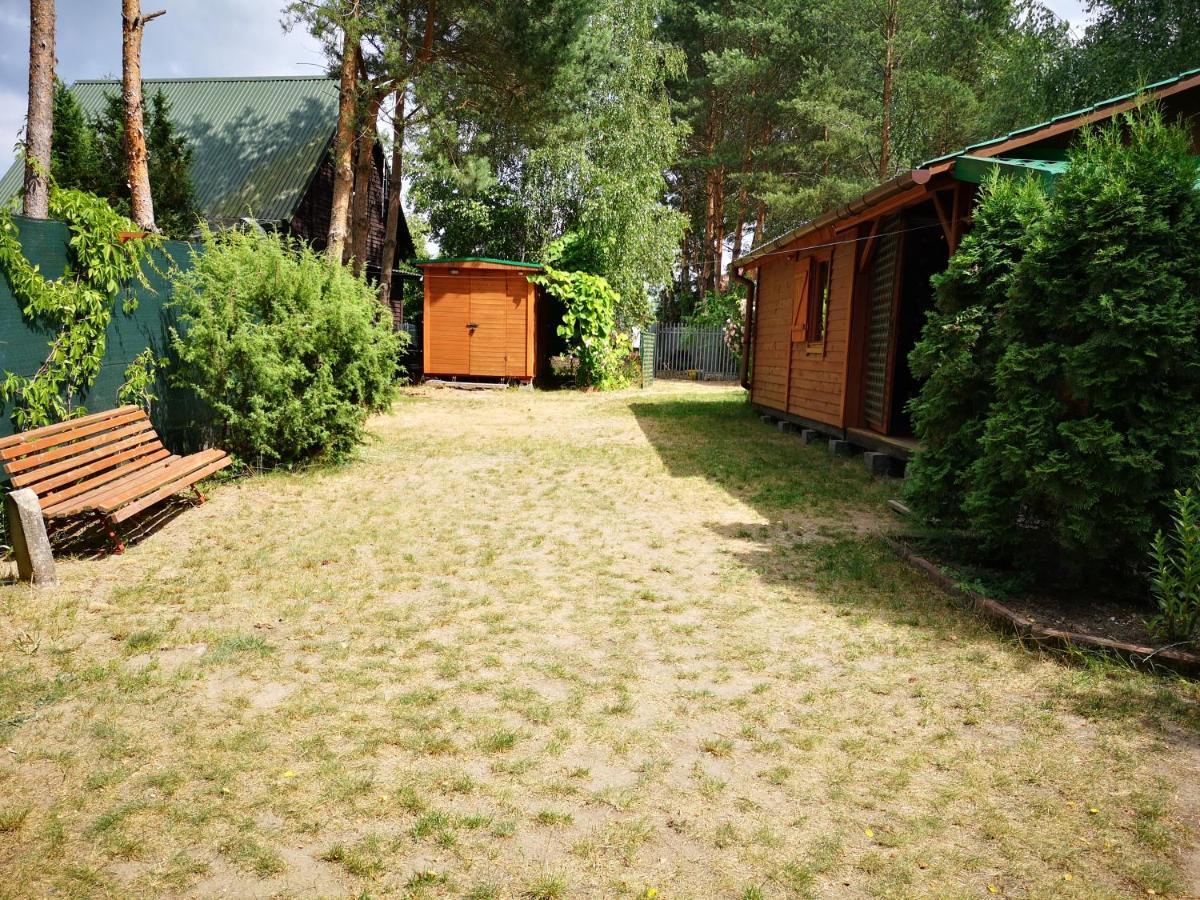 Domki Domek Na Jeziorem Wilczynskim Budzislawskim , Las, Osobno Ogrodzony 2-6 Osob- Klimatyzacja, Ogrzewanie, 62-550 Zygmuntowo Gm Wilczyn Esterno foto