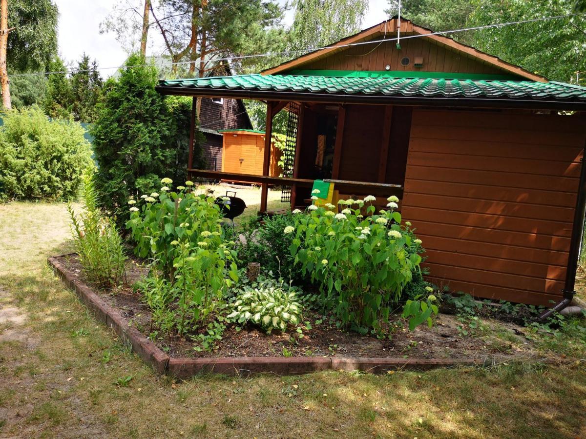 Domki Domek Na Jeziorem Wilczynskim Budzislawskim , Las, Osobno Ogrodzony 2-6 Osob- Klimatyzacja, Ogrzewanie, 62-550 Zygmuntowo Gm Wilczyn Esterno foto
