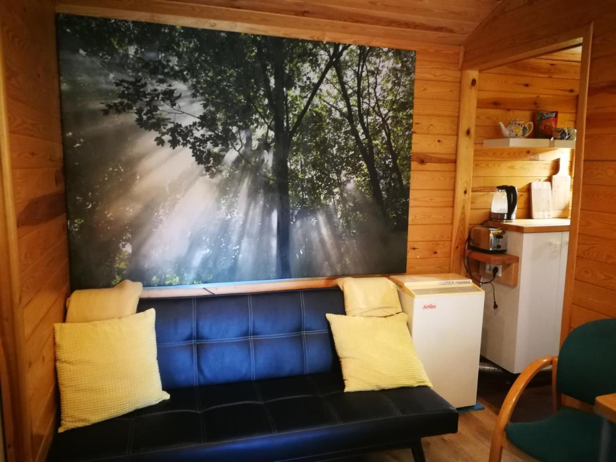 Domki Domek Na Jeziorem Wilczynskim Budzislawskim , Las, Osobno Ogrodzony 2-6 Osob- Klimatyzacja, Ogrzewanie, 62-550 Zygmuntowo Gm Wilczyn Esterno foto