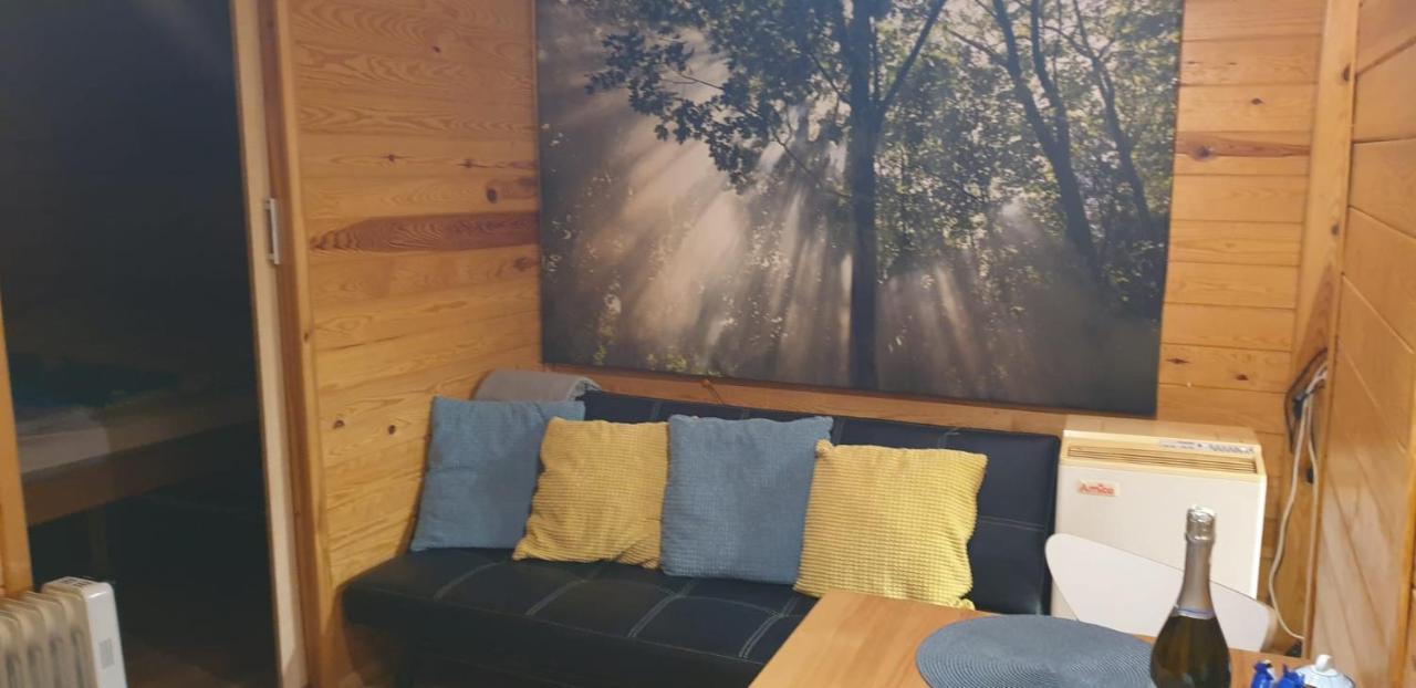 Domki Domek Na Jeziorem Wilczynskim Budzislawskim , Las, Osobno Ogrodzony 2-6 Osob- Klimatyzacja, Ogrzewanie, 62-550 Zygmuntowo Gm Wilczyn Esterno foto
